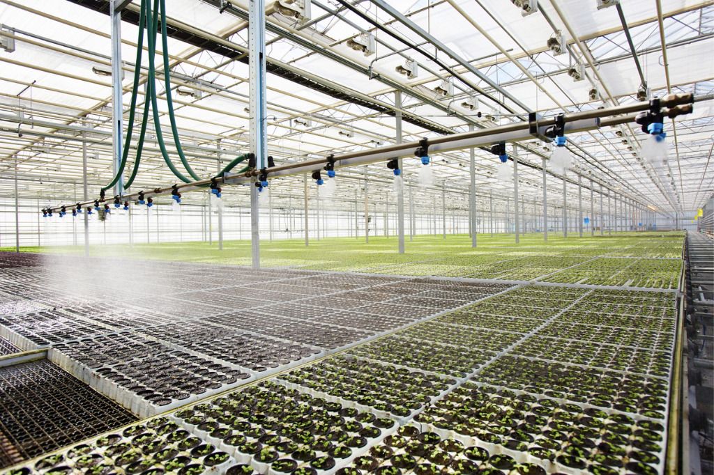 The Top Irrigation Systems for Sustainable Farming